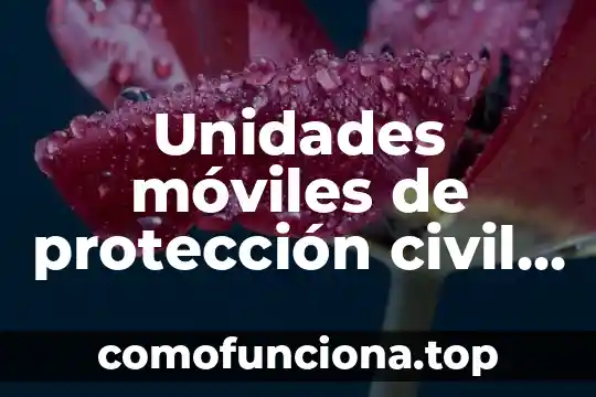 Que es la representación común en derecho civil 4 Unidades móviles de protección civil que es lo que contiene