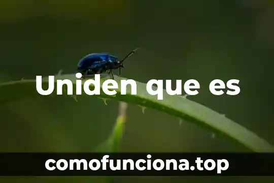 Wana cry que es y que significa 5 Uniden que es