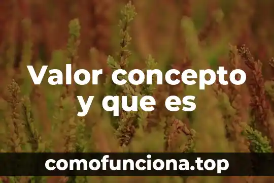 Que es el concepto de una obra de arte 3 Valor concepto y que es
