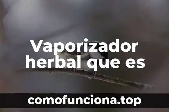 Images sobre que es la justicia 5 Vaporizador herbal que es
