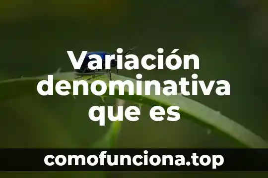 Que es variacion de la energia en fisica 3 Variación denominativa que es