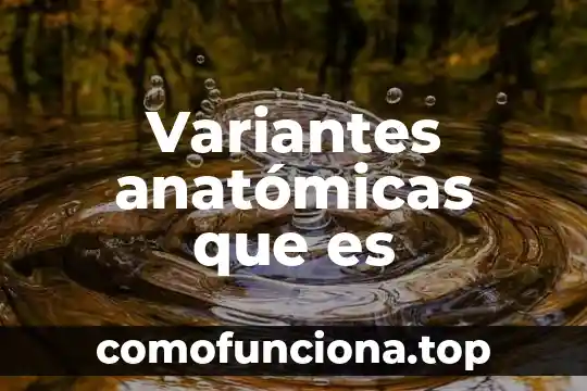 Que es inteligencia lógico-matemática 5 Variantes anatómicas que es