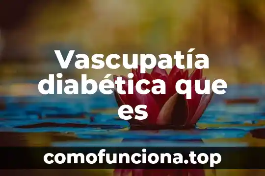 Que es administrar etimologicamente 7 Vascupatía diabética que es