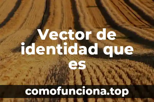 Que es la fuerza de un vector 3 Vector de identidad que es