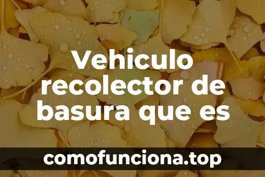 Cómo sabes que es un clásico vehículo 3 Vehiculo recolector de basura que es