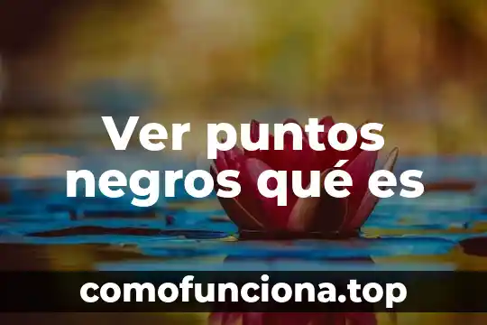 Dieta por puntos que es 8 Ver puntos negros qué es