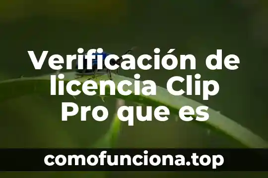 Que es el control del movimiento corporal 8 Verificación de licencia Clip Pro que es