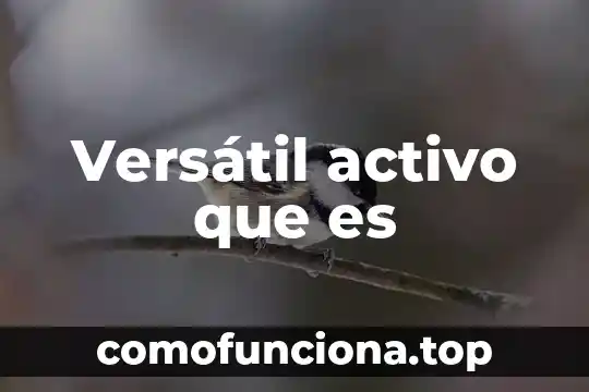 Qué es una sociedad políticamente activo 8 Versátil activo que es