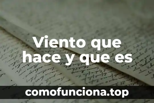 Que es la flor del viento y para que sirve 5 Viento que hace y que es