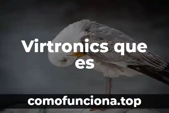 Que es una dieta-concepto 8 Virtronics que es