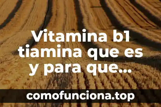 Que es el signo de admiracion y para que sirve 4 Vitamina b1 tiamina que es y para que sirve