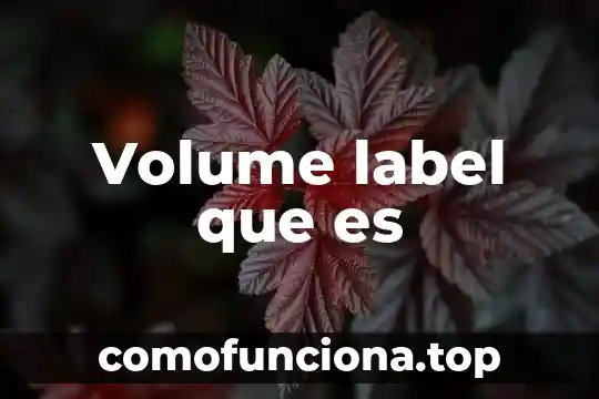 Que es educar para la libertad 3 Volume label que es