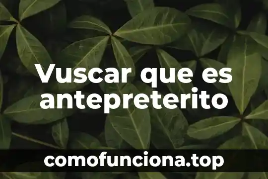 Qué es un número y una p 7 Vuscar que es antepreterito