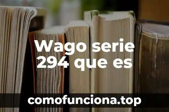 Qué es el puerto serie de una computadora 4 Wago serie 294 que es