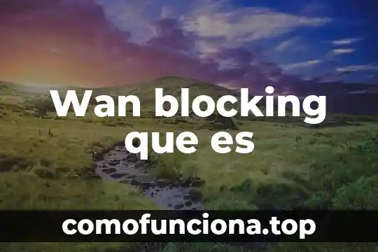 Que es wan libro 6 Wan blocking que es