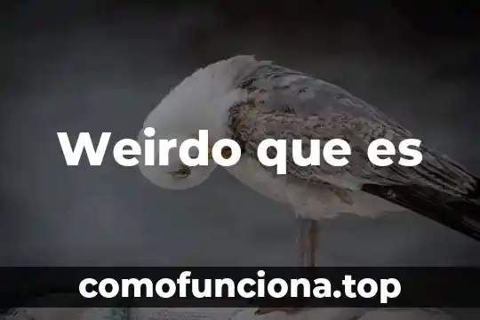 Que es small business administration 7 Weirdo que es