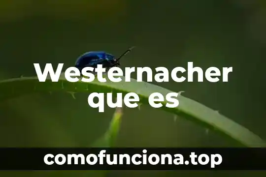 Qué es banza comercial 5 Westernacher que es