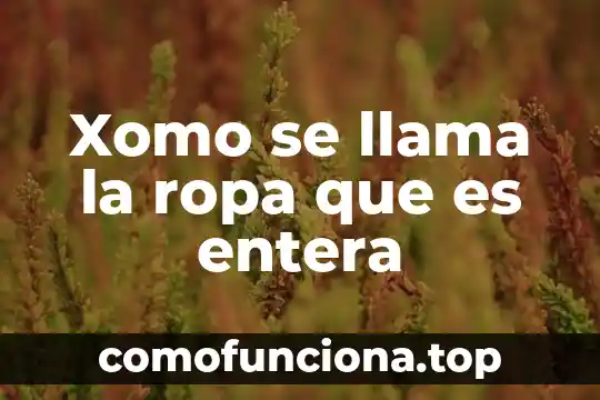 Qué es arte kitsch 4 Xomo se llama la ropa que es entera