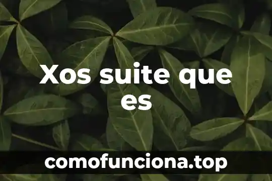 Menciona el significado de lo que es un sistema 3 Xos suite que es