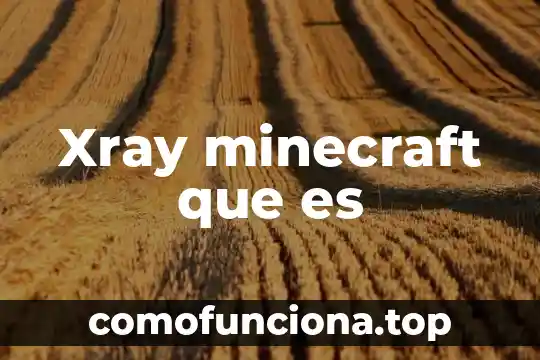Que es version de juego fragua en minecraft 3 Xray minecraft que es