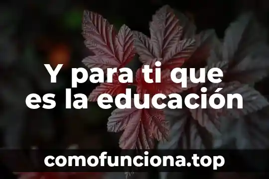 Contaminación del aire que es causas y consecuencias 8 Y para ti que es la educación