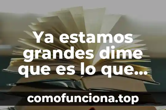 El color rojo nos indica que es una instalación 3 Ya estamos grandes dime que es lo que quieres