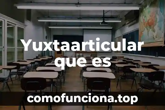 Que es inteligencia lógico-matemática 7 Yuxtaarticular que es