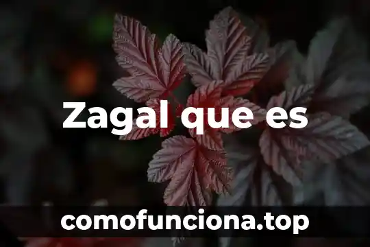 Menciona el significado de lo que es un sistema 4 Zagal que es