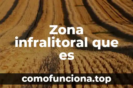 Que es el pisto planta de zona mizteca 4 Zona infralitoral que es